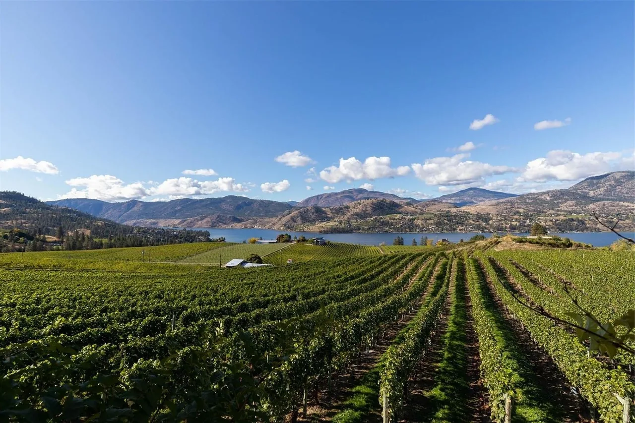 385 Matheson Road, Okanagan Falls, British Columbia