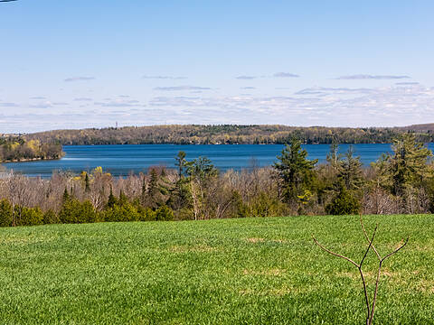 1614 Horseshoe Valley Rd E, Oro-Medonte
