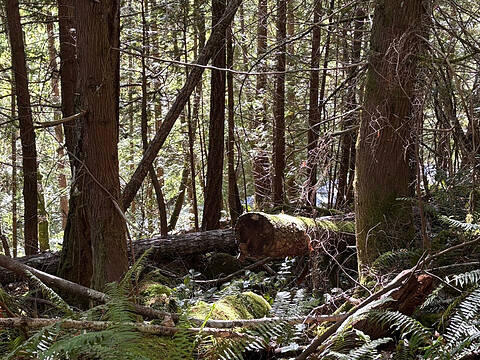 Lot B Porters Road, Pender Harbour