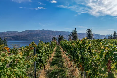 5355 Trepanier Bench Road, Peachland